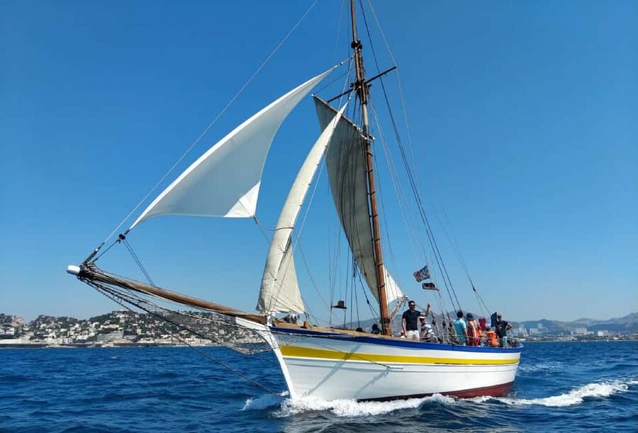 Marseille: Château d'If and Frioul Calanques Sailing Cruise - The cove stop: swimming, snorkeling, and a Provençal drink