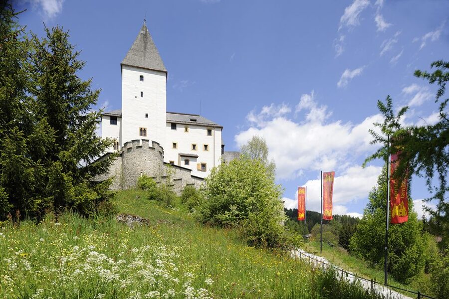 Mauterndorf: Castle Entrance Ticket - Key points at a glance