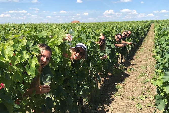 Medoc or Saint Emilion Wine Tasting and Chateau from Bordeaux - Two Bordeaux regions, two different afternoons