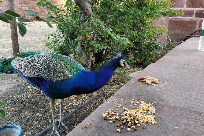 Mehrangarh Fort and Blue City Historic Tour with Local Guide - Mehrangarh Fort, the main event