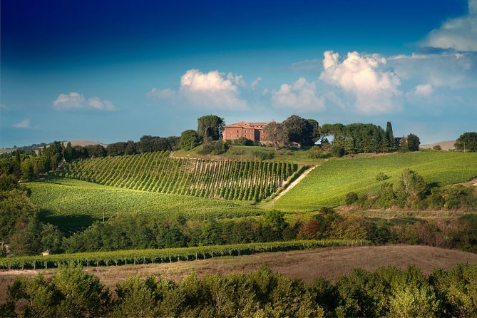 Montalcino: Brunello Wine Tasting & Lunch in a Tuscan Castle - Tasting three Tuscan wines