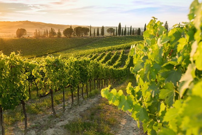 Montalcino: Brunello Wine Tasting & Lunch in a Tuscan Castle - A three-course Tuscan lunch