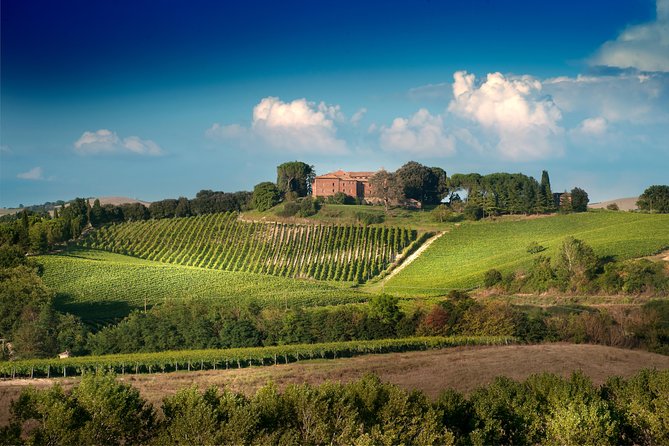 Montalcino: Castle and Vineyards Tour with Tasting - Tasting Three Wines in the Historic Courtyard