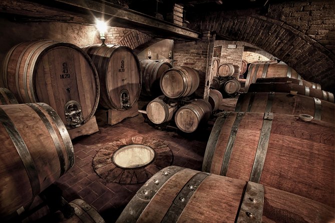 Montalcino: Castle and Vineyards Tour with Tasting - How the One-Hour Schedule Shapes the Experience