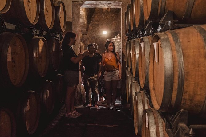 Montalcino: Castle and Vineyards Tour with Tasting - Ancient Cellars and the Wine-Making Story