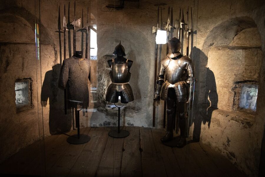 Montreux: Chateau Chillon Entrance Ticket - Is the Audioguide Worth the Extra 6 CHF?