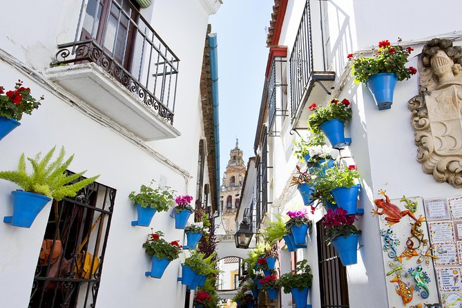 Mosque-Cathedral, Alcazar & Jewish Quarter with Tickets - What you actually see at the Alcázar