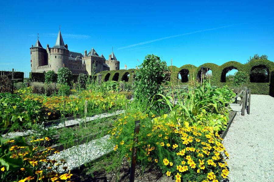 Muiden: Entry Ticket to Muiderslot Castle - Seeing the medieval character of Muiderslot