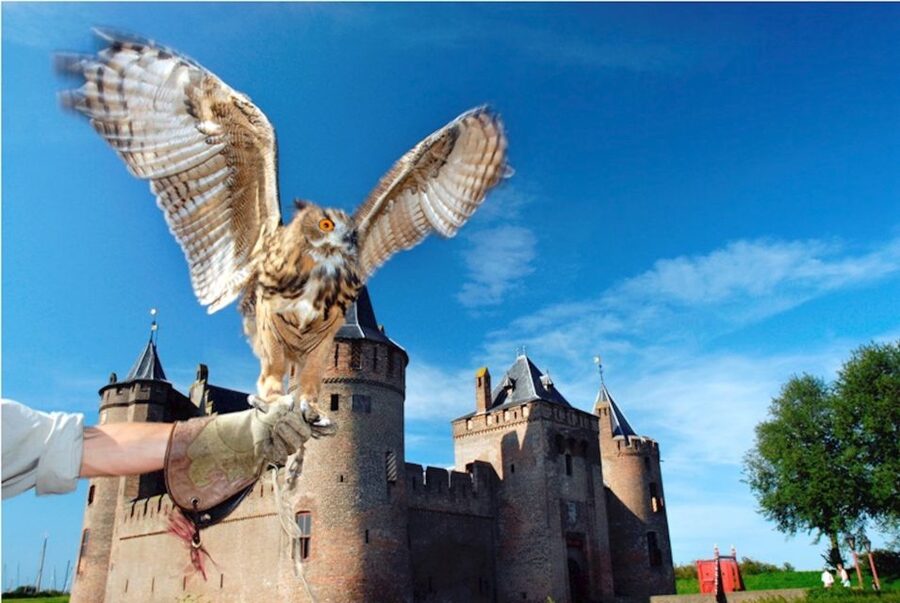 Muiden: Entry Ticket to Muiderslot Castle - The gardens and the view beyond the walls