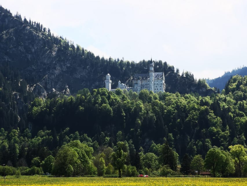 Munich: Neuschwanstein Castle by Bus with Alpine Bike Ride - Who should book this active castle day