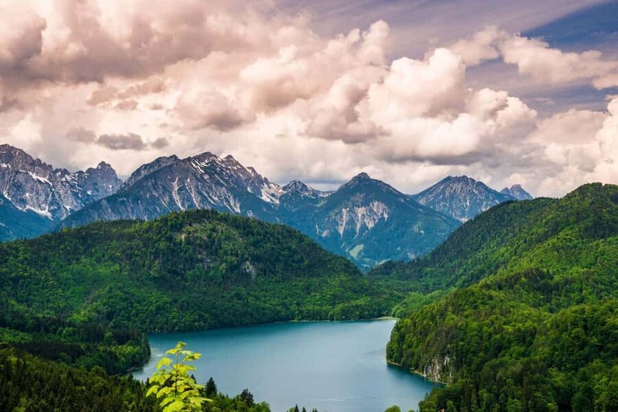 Munich: Neuschwanstein Castle Chinese Day Tour - Why this day trip works for first-time Bavaria visitors