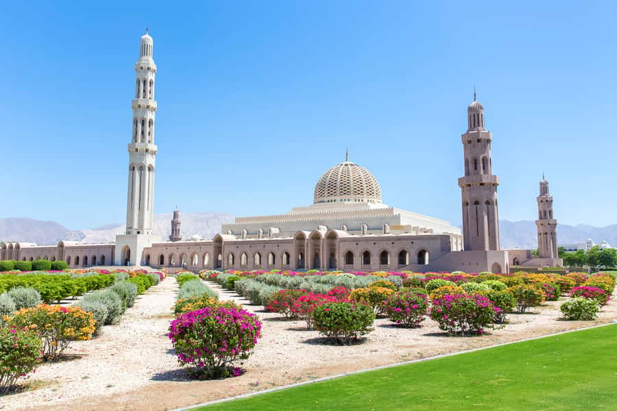 Muscat: City Tour of Grand Mosque, Old Souqs, Museum, & Fort - Is $389 good value for two people?