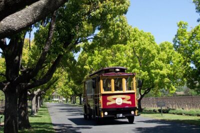 Napa Valley Wine Trolley Castle Tour