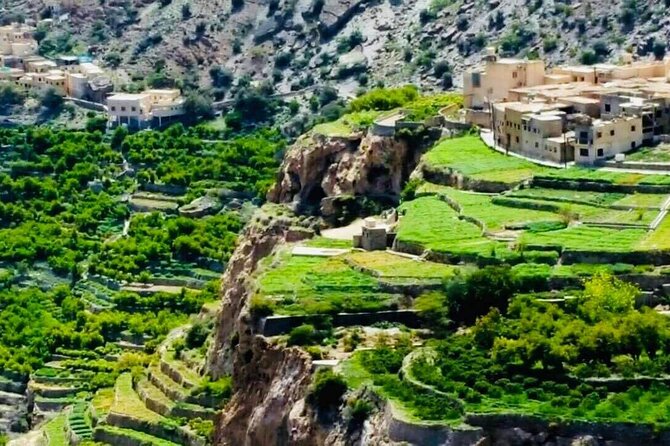 Nizwa Fort-Nizwa Souq-Birkat Al Mouz-Jebel Akhdar - Private Full Day Tour - Nizwa Fort: two hours inside Oman’s military stronghold
