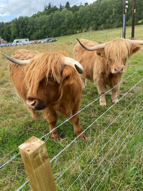 NORTH HIGHLAND TOUR, DUNROBIN CASTLE & MORE FROM INVERGORDON - Falls of Shin, a quick natural pause