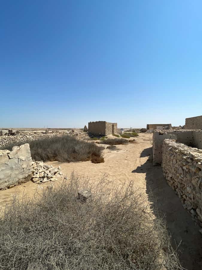 North of Qatar: Olafur Eliasson Exibit, Zubara fort & jumail - What the small group changes