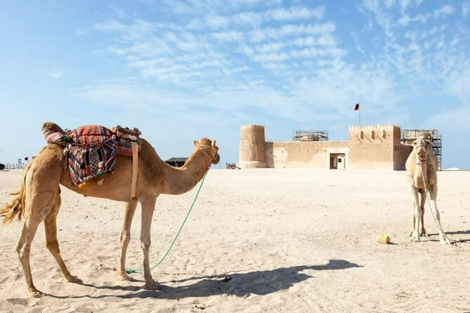North of Qatar Tour to Olafur Eliasson Zubara Fort Jumail Village - Al Jumail, an abandoned pearling village