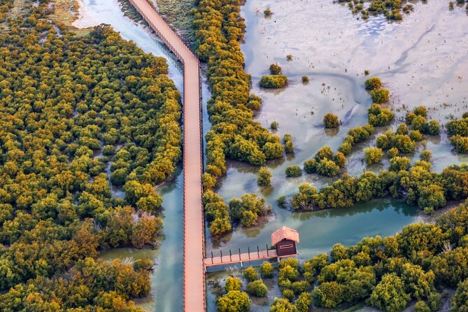 North of Qatar Tour, Zubara Fort, Mangroves, Jumail Village - Purple Island and the calm of the mangroves