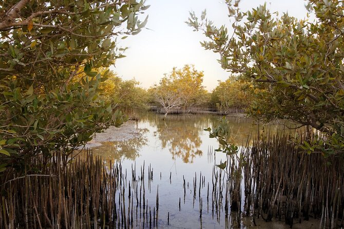 North of Qatar Tour, Zubara Fort, Mangroves, Jumail Village - Walking through abandoned Al Jumail Village