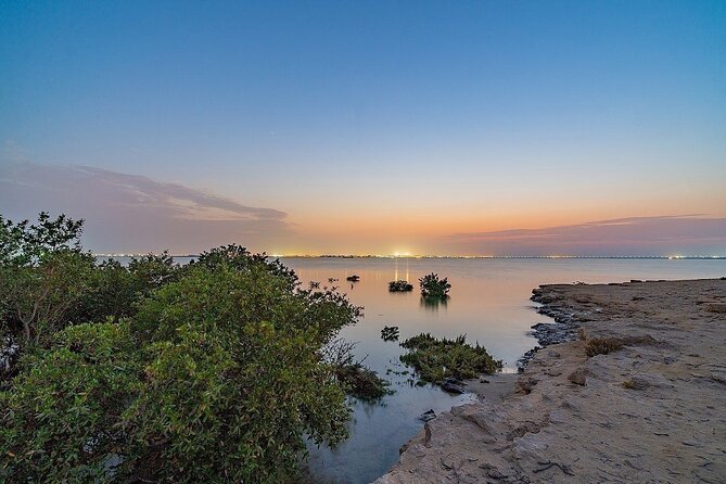 North of Qatar Tour, Zubara Fort, Mangroves, Jumail Village - Is $65 a fair price?
