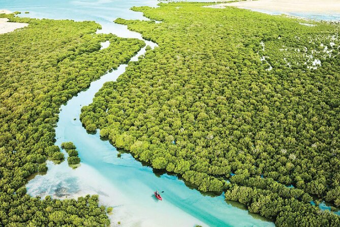 North Qatar Tour | Zubara Fort | Purple Island | Mangros Colony - Purple Island and the mangroves beside the desert