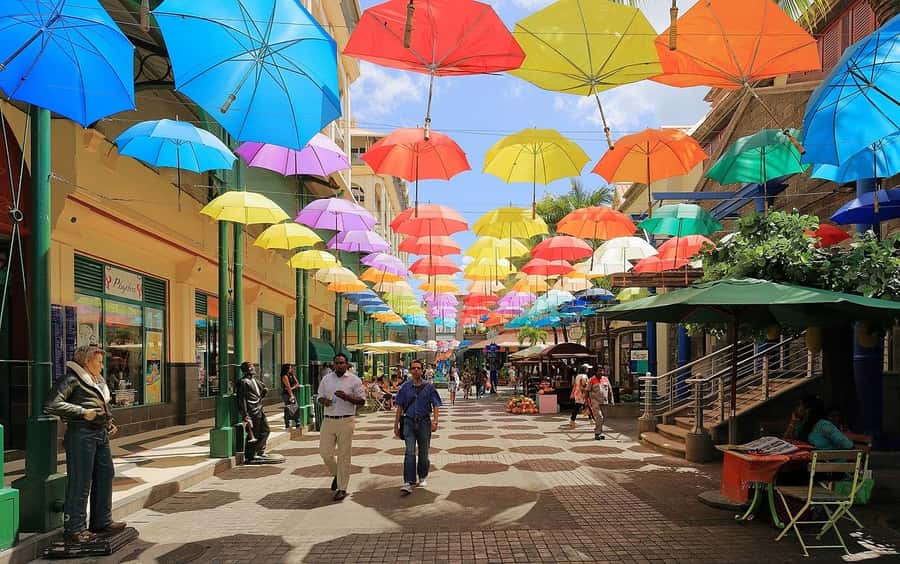 North Tour: Port Louis, Caudan, Citadelle, Botanical Garden - Port Louis Market: the local side of the capital