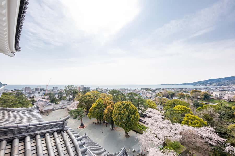 Odawara: Guided Ninja & Samurai Tour of Odawara Castle - Ninjas, shinobi, and the move from history to practice