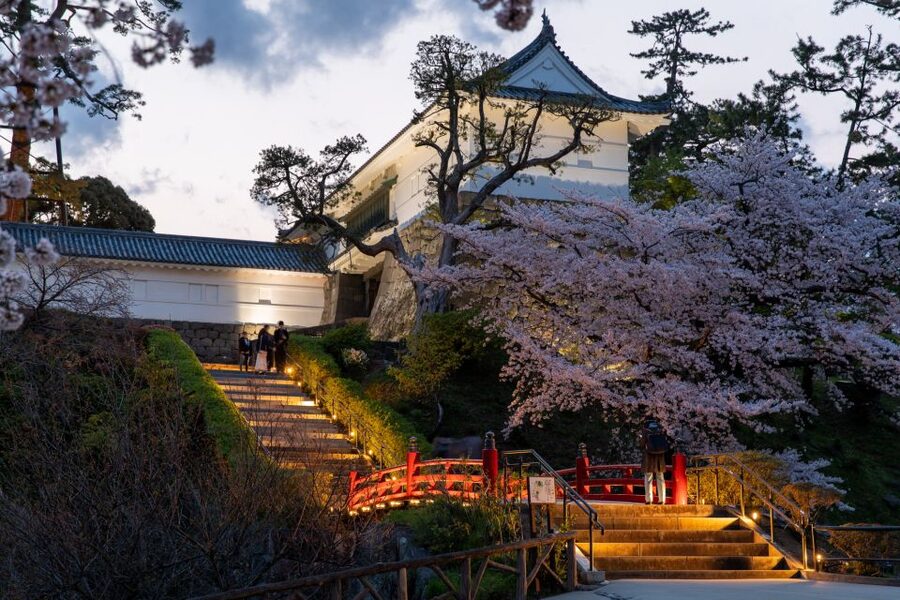 Odawara: Odawara Castle and Town Guided Discovery Tour - How the three-hour schedule feels
