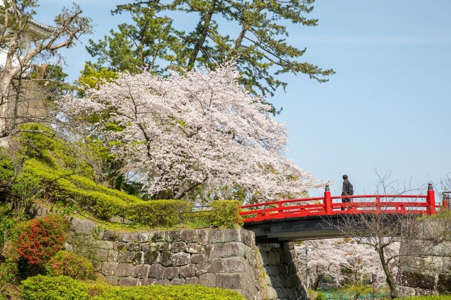 Odawara: Odawara Castle Tenshukaku Entrance Ticket - The View Across Sagami Bay