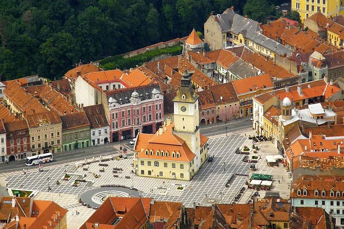 One day trip Bear Sanctuary Dracula Castel and Rasnov Fortress from Brasov - A private car makes the route easier