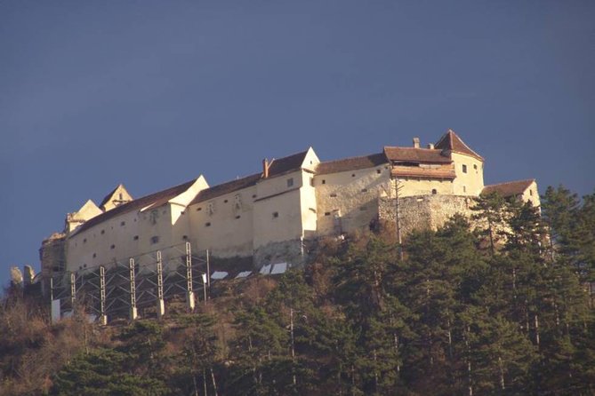 One day trip Bear Sanctuary Dracula Castel and Rasnov Fortress from Brasov - Should you book the Bear Sanctuary, Bran Castle, and Rasnov trip?