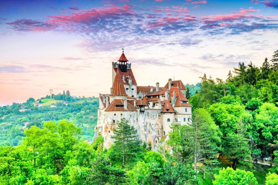 One day trip Bear Sanctuary, Dracula Castle - Bran Castle after the bears