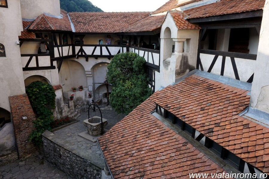 One day trip Bear Sanctuary, Dracula Castle - The journey from Brasov to Zarnesti and Bran