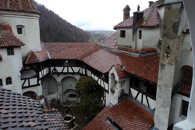 One day trip Bear Sanctuary, Dracula Castle, Rasnov Fortress from Brasov - Guide service and the limits of the format