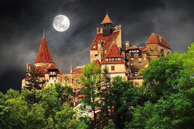 One day trip Bear Sanctuary, Dracula Castle, Rasnov Fortress from Brasov - Libearty Bear Sanctuary: the reason to leave Brasov early