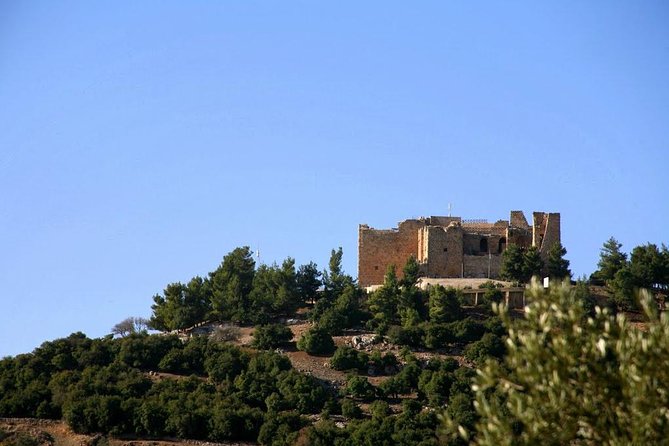 One Day Trip to Jerash & Ajloun Castle - Is $75 per person good value?
