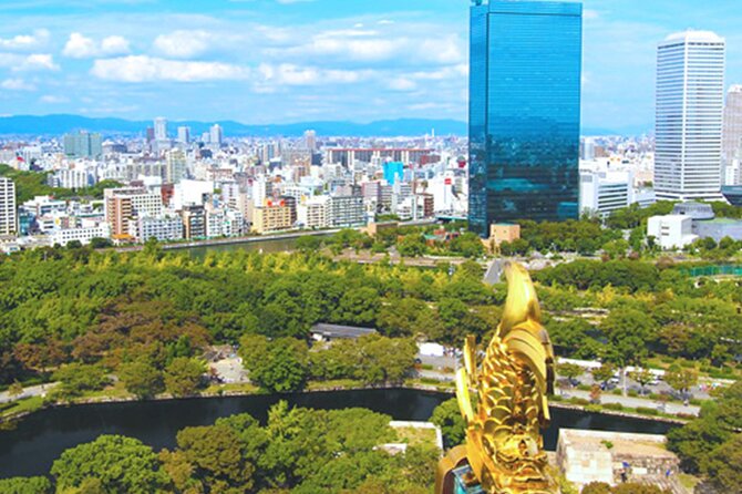 Osaka Castle Walking Tour and Castle Tower Admission - Price, group size, and overall value