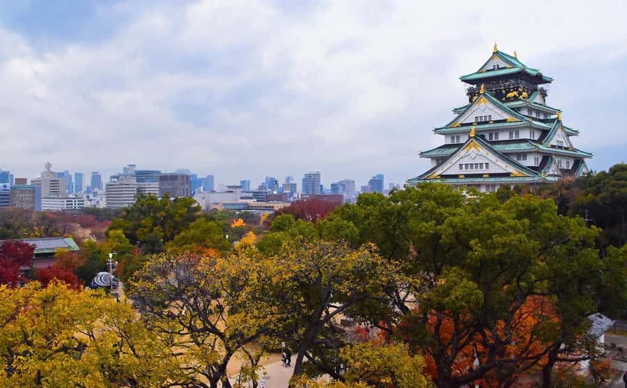 Osaka: Osaka Castle 3 hours Historical Walking Tour - Taking in Osaka from the observation deck
