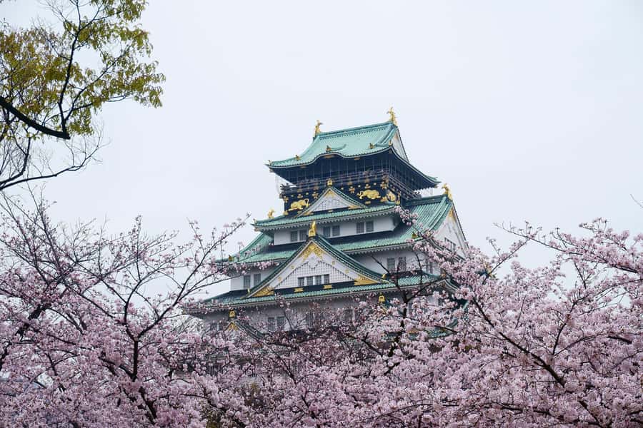 Osaka: Osaka Castle 3 hours Historical Walking Tour - Walking through Nishinomaru Garden