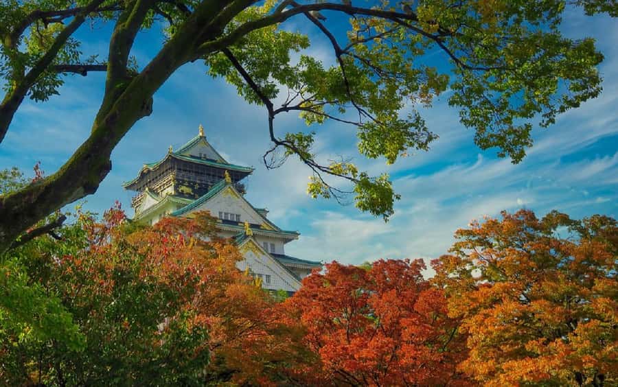 Osaka: Osaka Castle 3 hours Historical Walking Tour - Osaka Castle Park and the city’s everyday rhythm