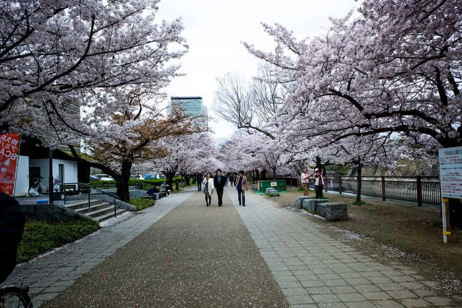 Osaka: Osaka Castle 3 hours Historical Walking Tour - Is $30 a fair price?