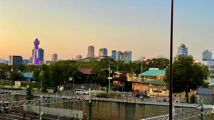 Osaka: Osaka Castle - Tsuruhashi - Tennoji (Spanish Guide) - Tsuruhashi, Korean food, and a different side of Osaka