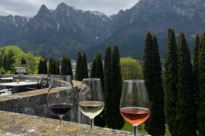 Peles & Cantacuzino Castles: Gourmet Wine & Cultural Day trip - What the private format really gives you