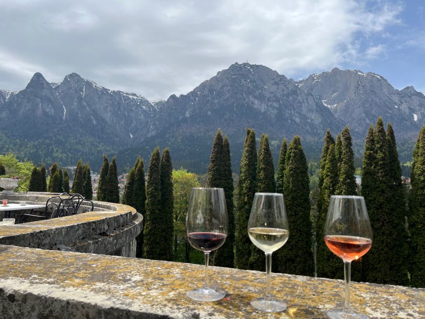 Peles & Cantacuzino Castles: Gourmet Wine & Cultural trip - Who will enjoy this eight-hour outing