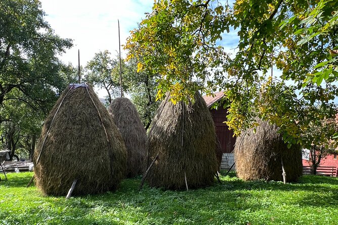 Peles castle and authentic Romanian village experience - day trip - Paltinu Lake and the ride back