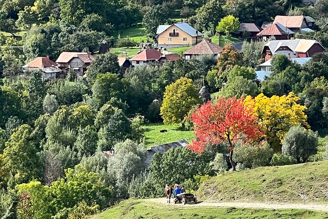 Peles castle and authentic Romanian village experience - day trip - Who will enjoy this day most?