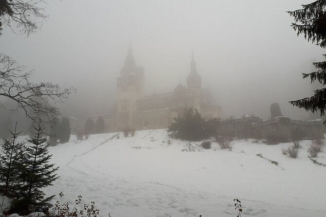 Peles Castle and optional Cantacuzino Castle from Brasov - Three hours at Peles and Pelisor