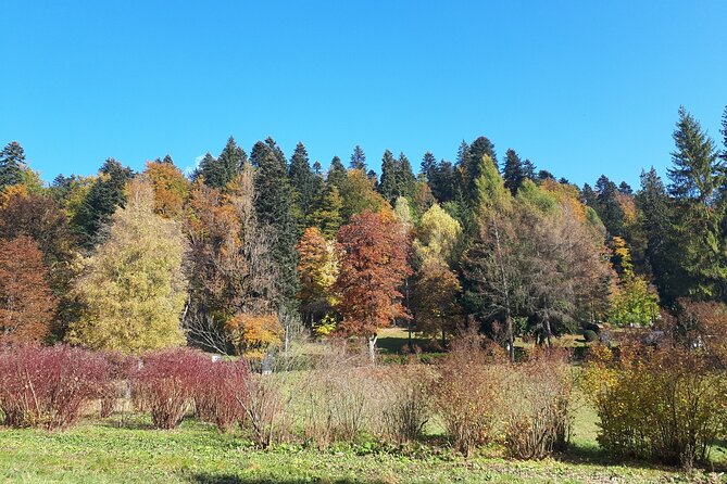 Peles Castle and optional Cantacuzino Castle from Brasov - Cota 1400 and Cantacuzino Castle option