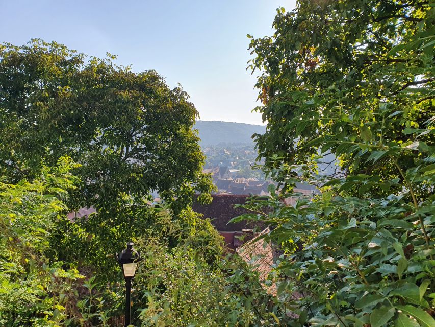 Peleș Castle, Bran Castles and Brasov City - Private Tour - Should you book it?