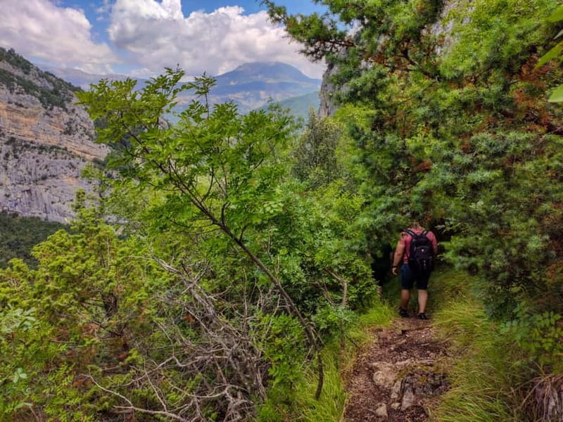 "Pëllumbas Cave, Erzeni Canyon & Petrelë Fortress Excursion" - What you get for $95